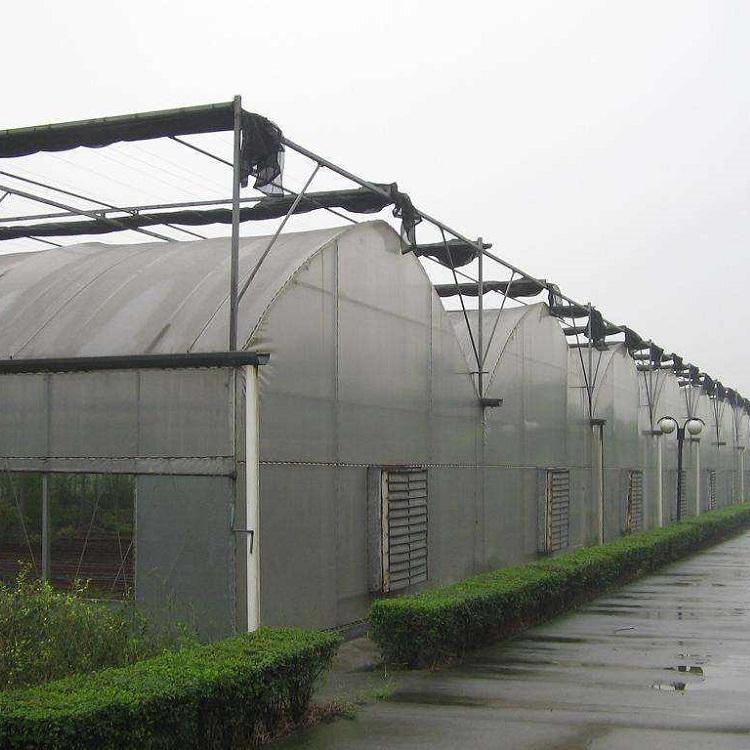 青州薄膜温室大棚_薄膜温室大棚建造_金和温室可信赖