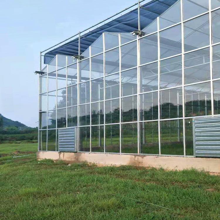 海门连栋大棚厂家专业设制连栋薄膜温室 玻璃连栋温室 材料自产支持定制 价格优惠 欢迎咨询