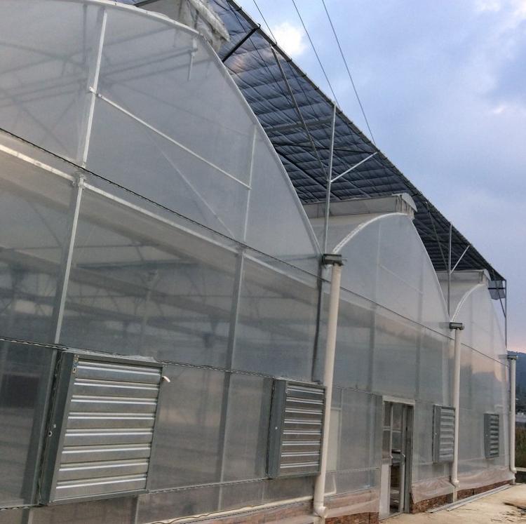 金和温室设计建造薄膜温室大棚_薄膜温室大棚报价