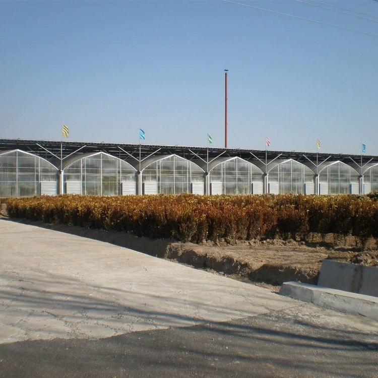 青州薄膜温室大棚承建商    薄膜温室大棚建设价格