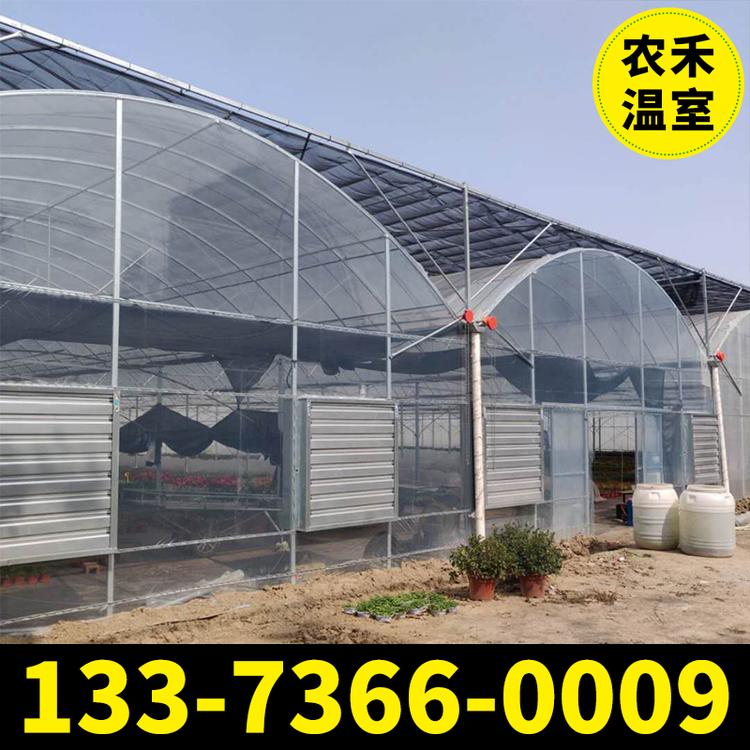 薄膜连栋大棚 连体大棚 火龙果大棚 蔬菜大棚 大棚厂家 大棚配件厂家