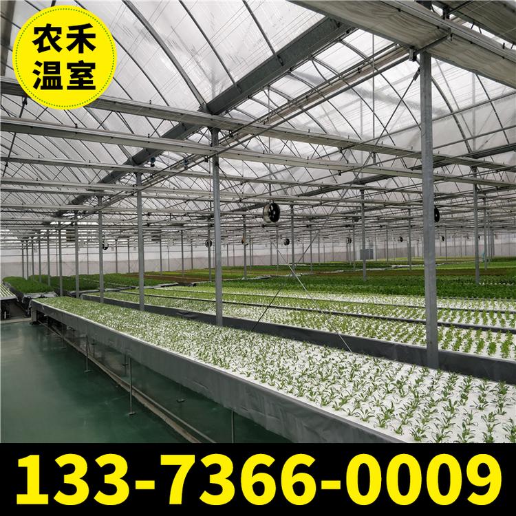 加工定制连体大棚 火龙果大棚 蔬菜大棚 蔬菜大棚 花卉大棚 大棚厂家直销