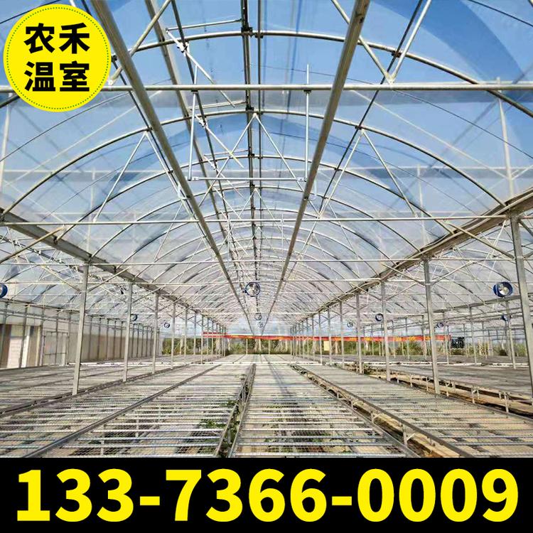 加工定制连体大棚 薄膜连栋大棚 蔬菜大棚 花卉大棚 大棚厂家直销