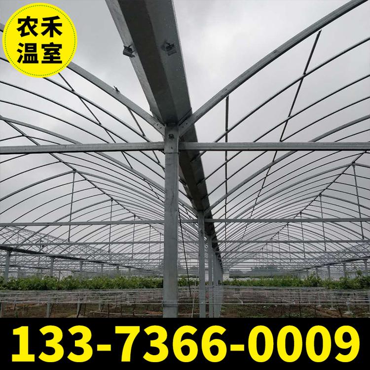 蔬菜大棚 薄膜连栋大棚 连体大棚 火龙果大棚 大棚厂家 大棚配件厂家