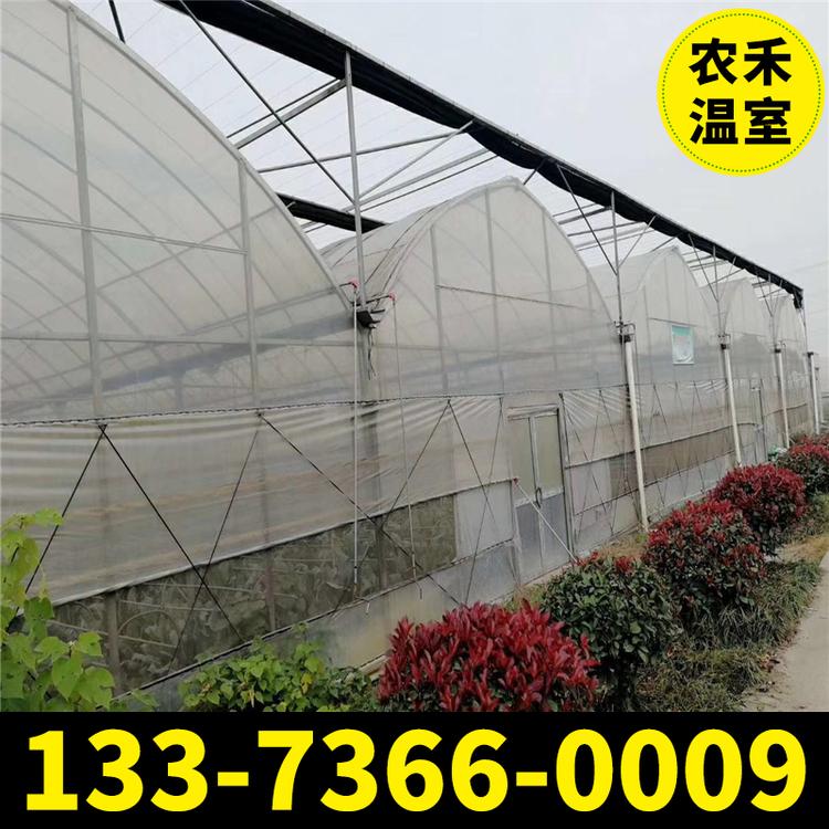 生产销售 蔬菜大棚 薄膜连栋大棚 连体大棚 配件齐全支持定制