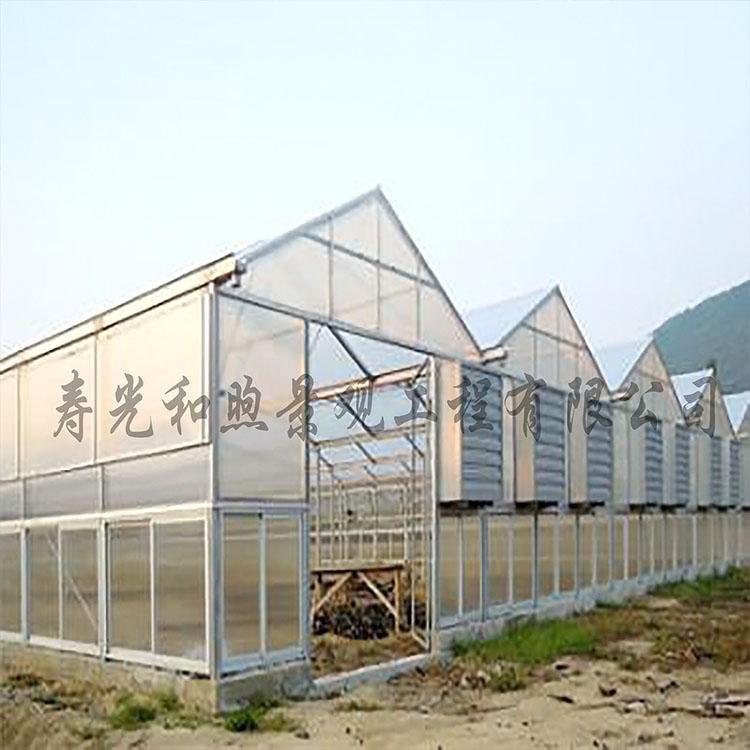 温室大棚 拱形温室大棚 冬暖式温室大棚 温室大棚厂家