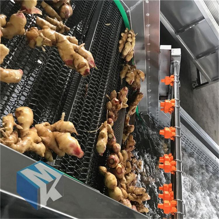 油菜清洗机-供应蔬菜水果清洗设备-大姜气泡气清洗机生产厂家