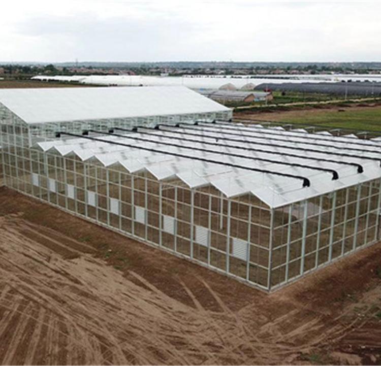 建造玻璃温室  温室大棚  玻璃温室承建商