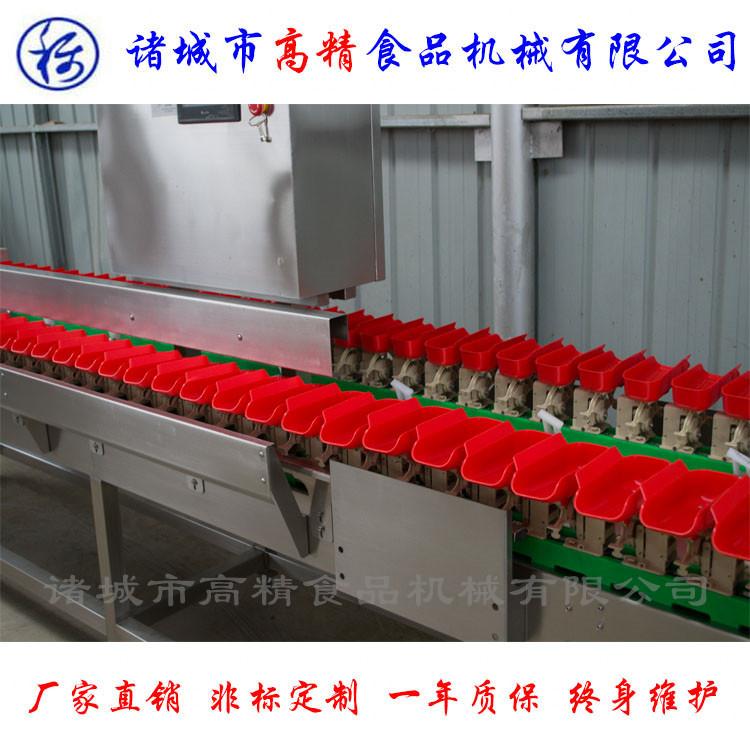 牡蛎分选机 牡蛎大小分拣机 牡蛎称重分选 牡蛎筛选机