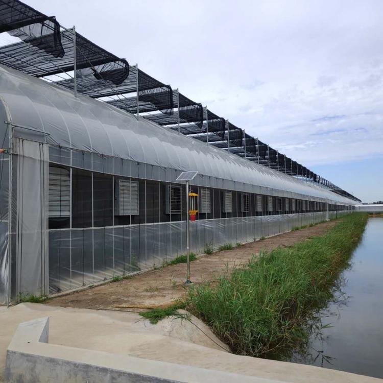 钢结构厂家 现场设计安装 新型大棚骨架