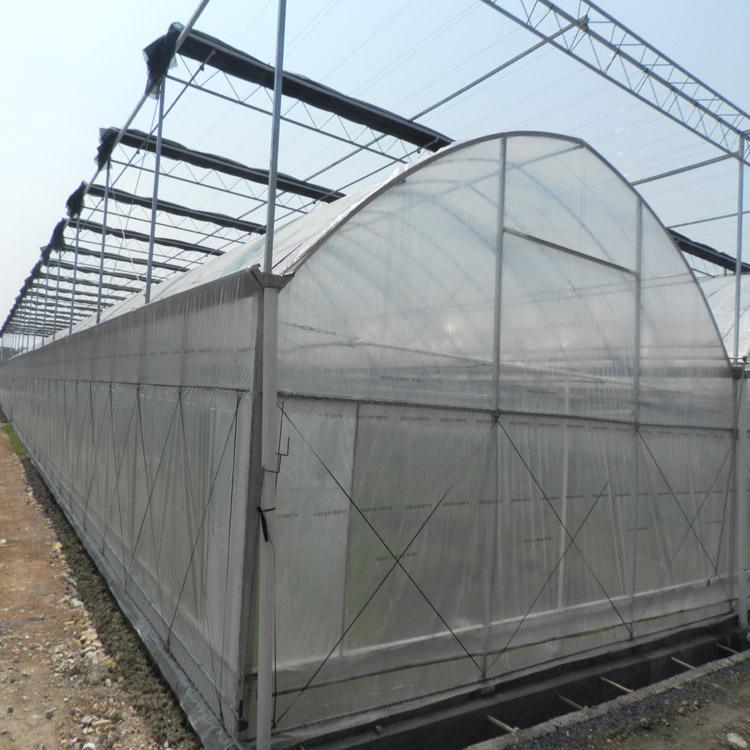 连栋薄膜温室大棚安装建设 多肉草莓种植大棚