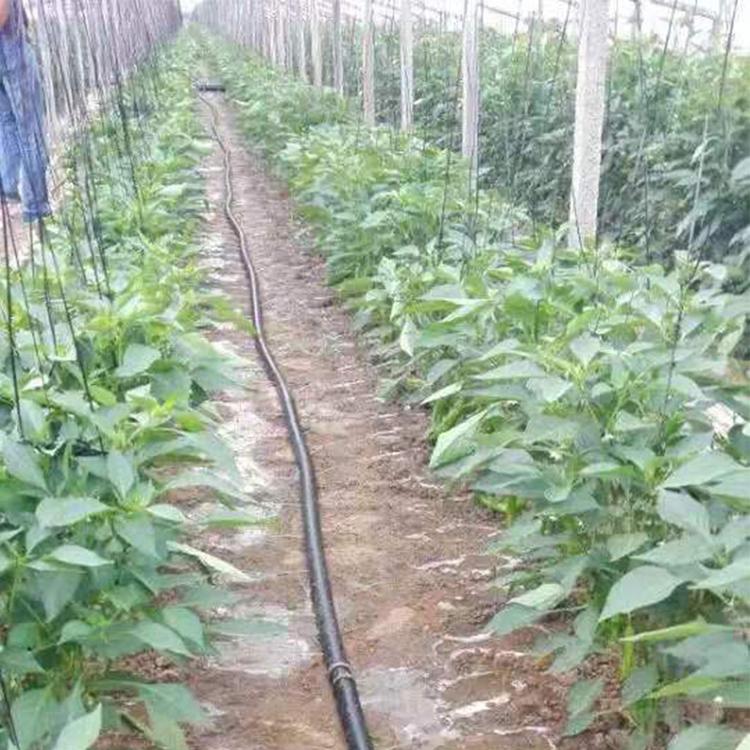 吉林喷灌带 喷灌带厂家 量大价优