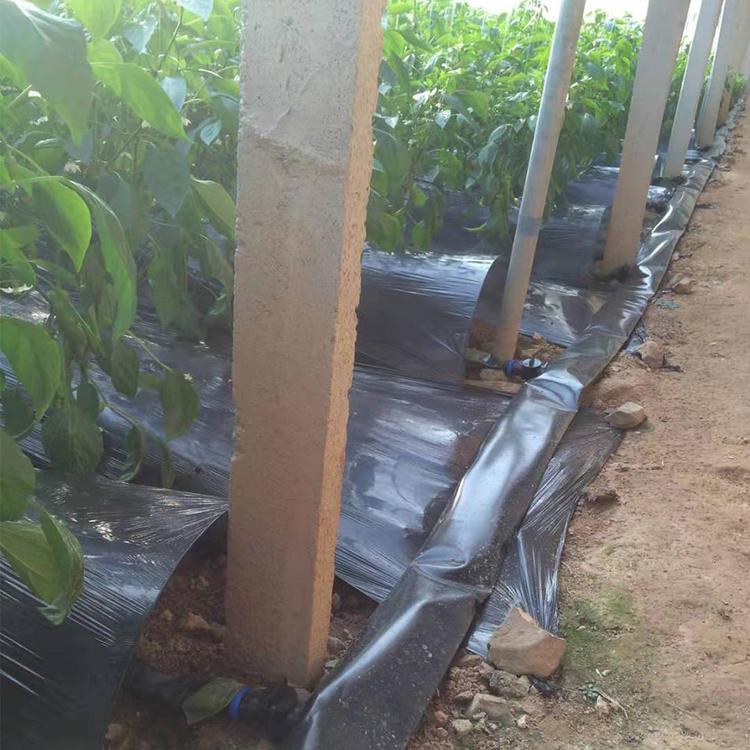 喷灌带 喷灌带批发 微喷带 量大价优 咨询金海雨