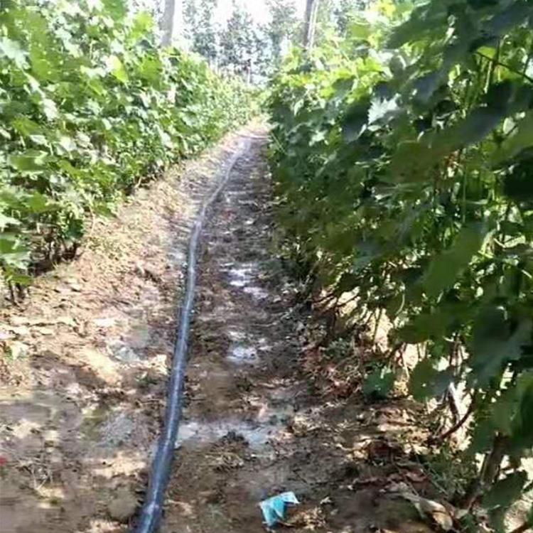 湖南喷灌带 喷灌带厂家 现货供应