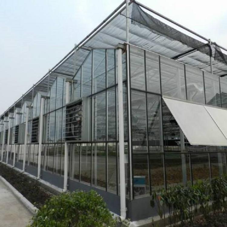 青州玻璃温室大棚    山东玻璃温室大棚     承建玻璃温室大棚
