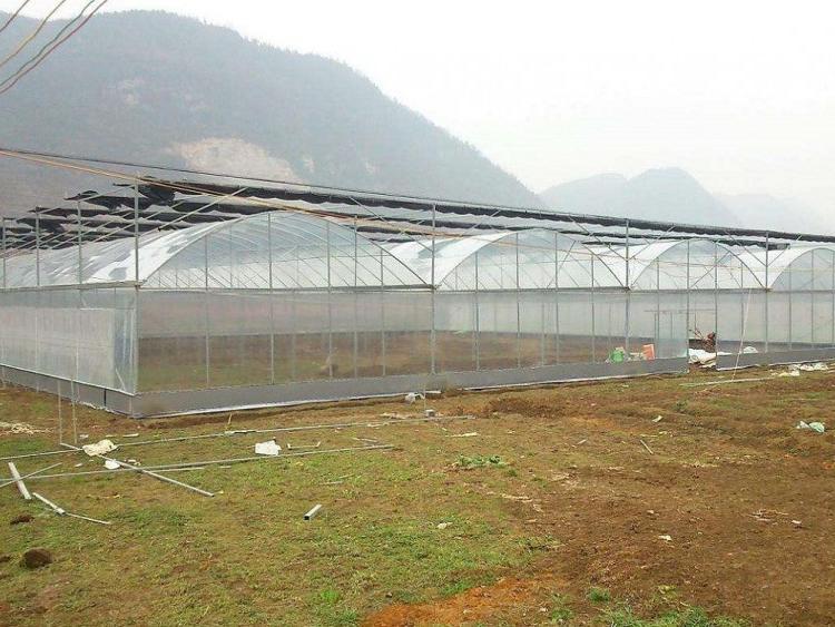 陕西连体温室大棚_青州连体温室大棚_山东连体温室大棚