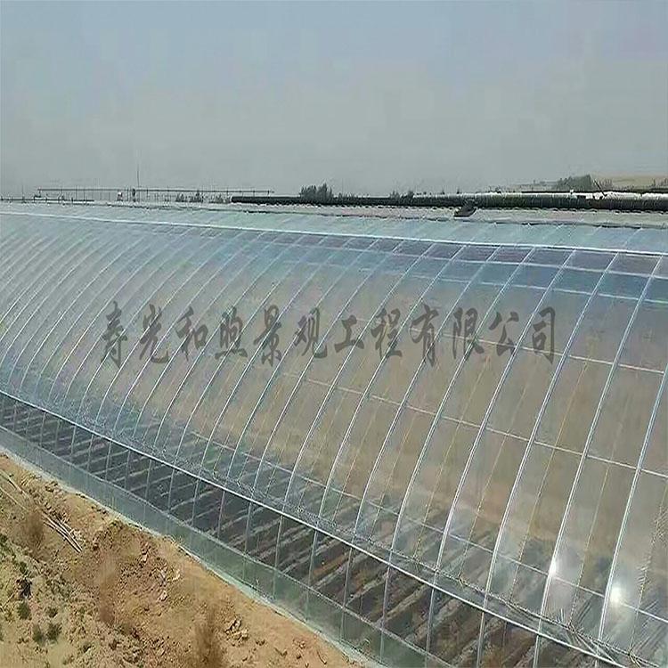 连栋温室大棚 设计 施工 温室大棚的控制系统电动 手动 山东温室大棚建设报价