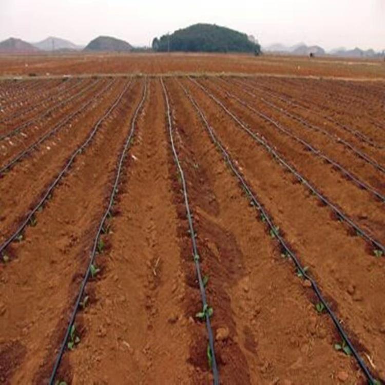 重庆贴片滴灌带 贴片滴灌带价格 厂家直销
