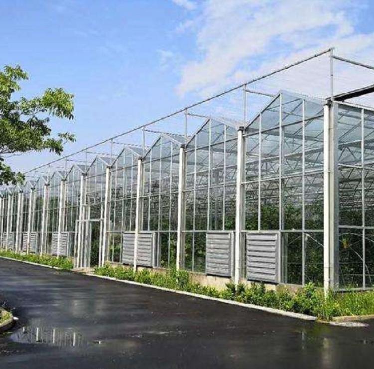 山东_江苏_河南_河北_智能温室大棚建造_建设