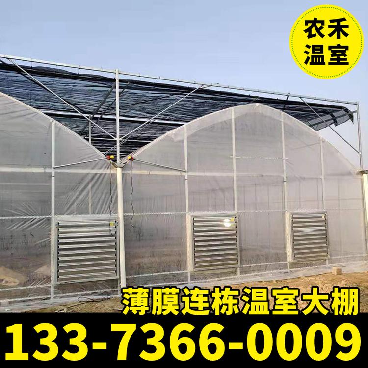 温室大棚骨架钢架 外遮阳温室连栋大棚造价 蔬菜大棚材料 批发价