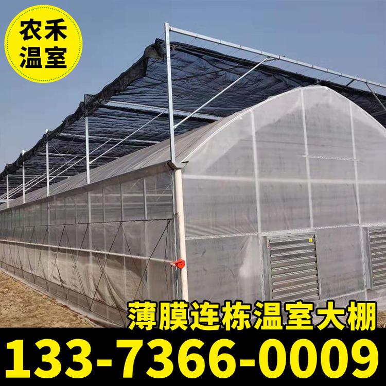 大棚厂家供应连体大棚 蔬菜大棚 薄膜连栋温室大棚 批发价