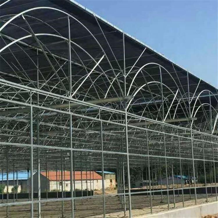 盐城连栋温室大棚蔬菜大棚单体大棚养殖大棚花卉大棚遮阳大棚日光温室蔬菜大棚大棚骨架钢管支持定制厂家直销