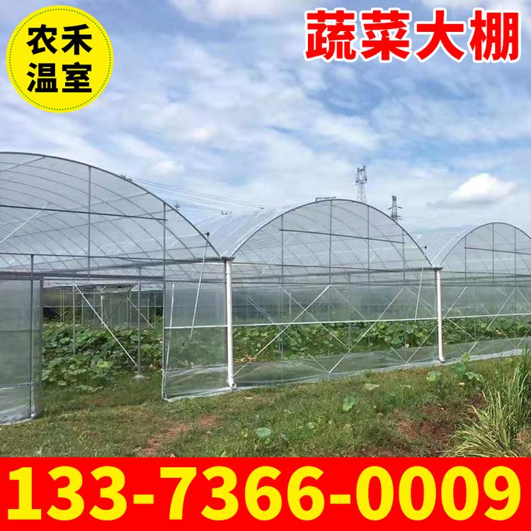 厂家供应蔬菜大棚 连栋温室大棚 配件齐全 温室大棚厂家直销