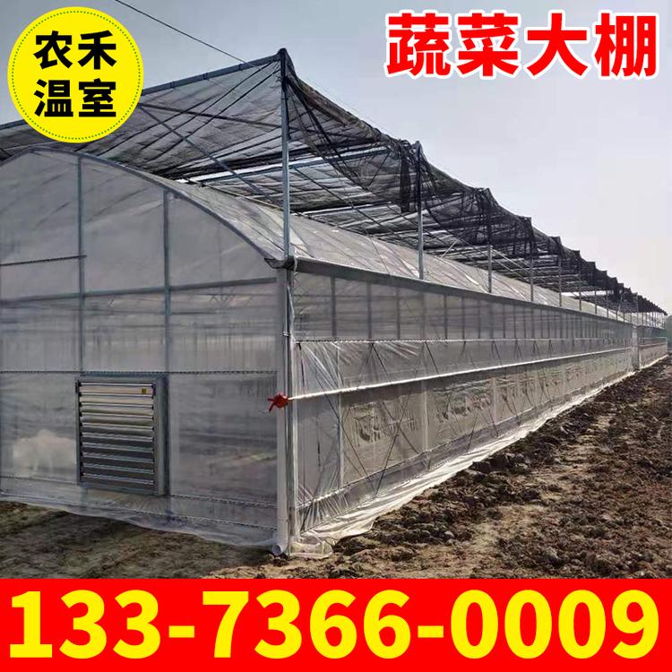 温室大棚厂家直发 供应蔬菜大棚 花卉大棚 规格多样支持定制