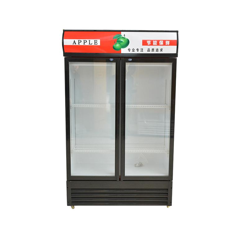 厂家直销双门啤酒柜立式展示冷藏柜鲜花柜批发龙飞