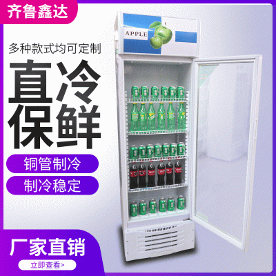 单门 双门 三门啤酒柜定制 商超专用饮料柜