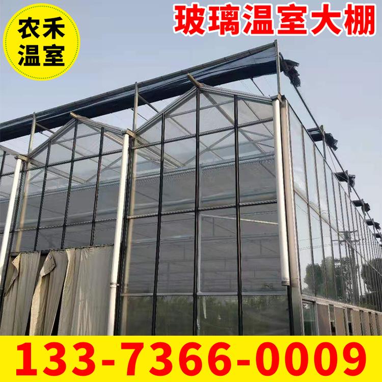 玻璃温室大棚 蔬菜大棚 蔬菜大棚骨架  热镀锌养殖大棚 温室大棚