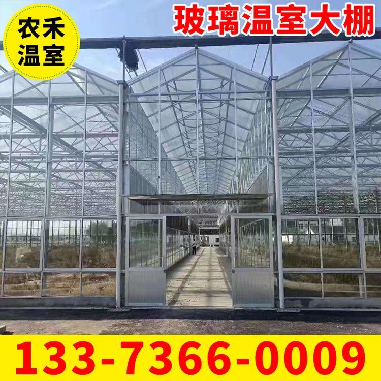 供应玻璃温室大棚 连体大棚 蔬菜大棚 专业制作安装外遮阳连栋大棚 内遮荫连体大棚 质保十年
