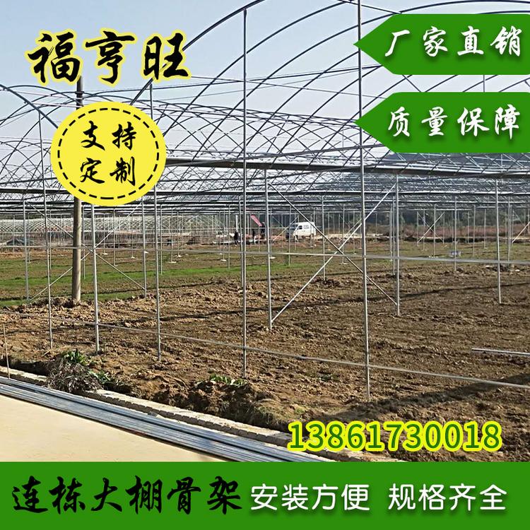 甘肃大棚   供应蔬菜大棚 热镀锌蔬菜大棚 花卉温室大棚 价格优惠