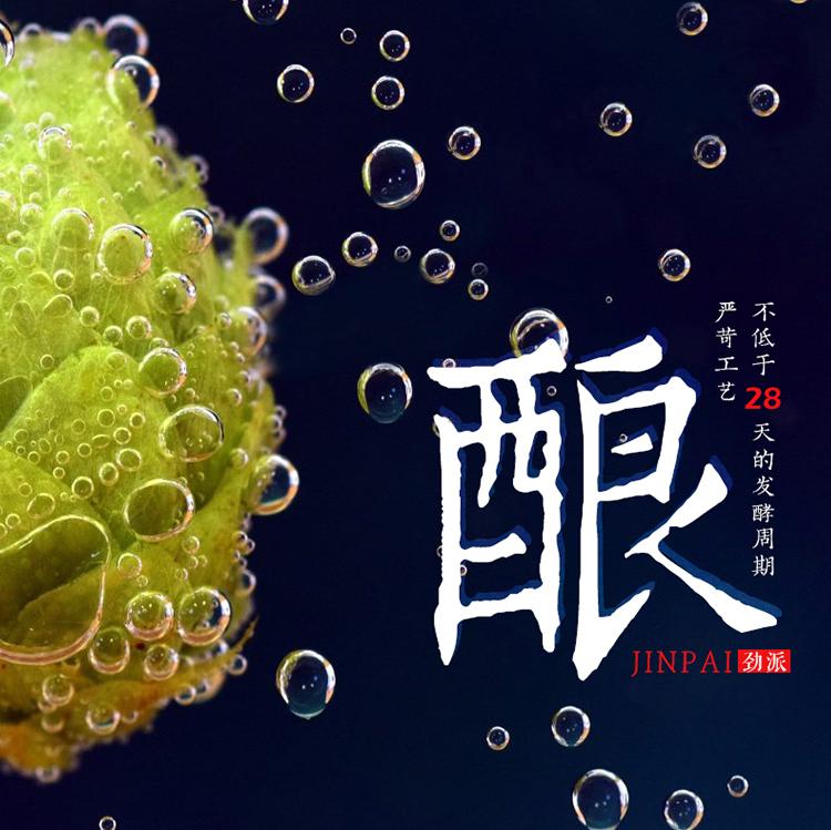 精酿啤酒厂家定制 各类口味 黄啤白啤黑啤世涛果啤艾尔拉格