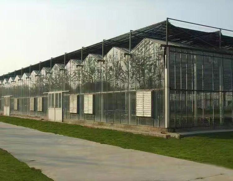 纹洛型玻璃温室 供应纹洛型温室 山东山水合