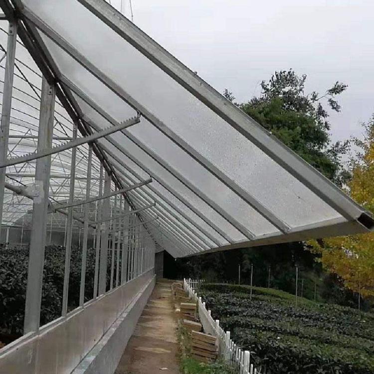 高温连栋温室 高温连栋大棚 连栋温室大棚