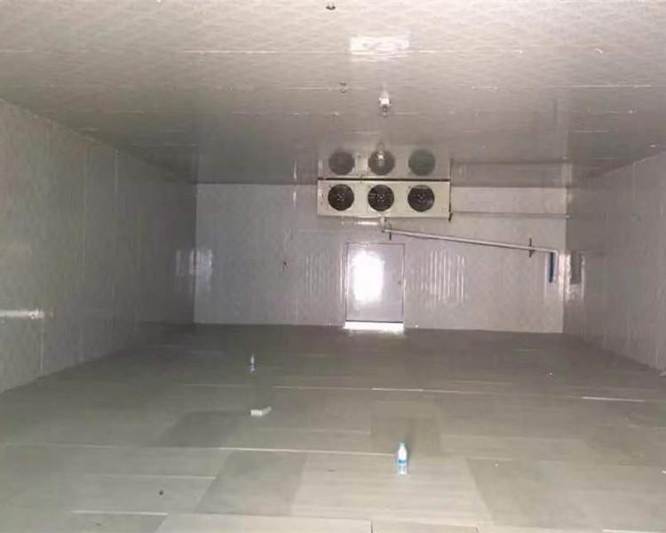 农产品冷库厂家 新冷源大型冷库建设源头厂家