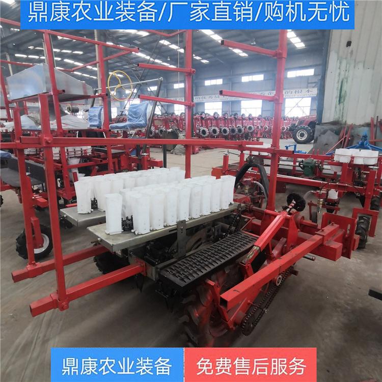 辣椒移栽机 蔬菜移栽机 两行多行移栽机 厂家定制 厂家直销
