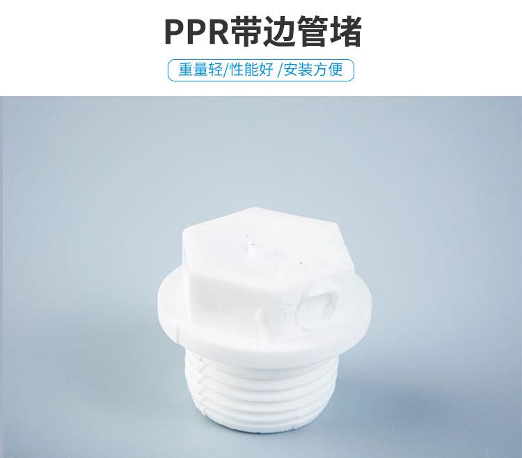 奇爱PPR带边管堵/管帽/堵头DN15/DN20
