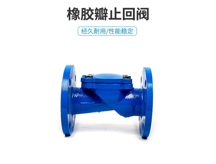铂海阀门橡胶瓣止回阀DN50-DN200