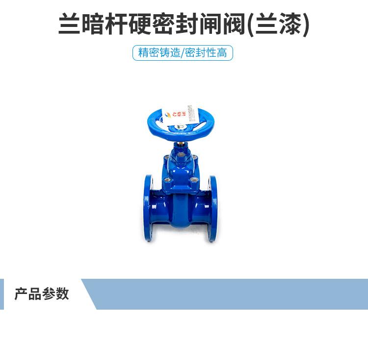 铂海阀门 Z45T-16Q蓝暗杆硬密封闸阀（蓝漆）DN40-DN300