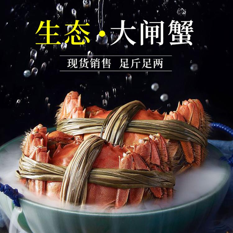 三品蟹庄 清水大闸蟹 公母螃蟹  自营农场 连云港  阳澄湖大闸蟹