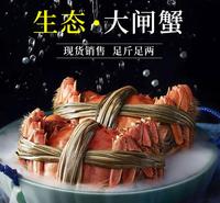 三品蟹庄 清水大闸蟹 公母螃蟹  自营农场 连云港  阳澄湖大闸蟹
