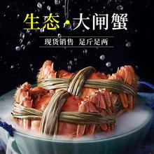 三品蟹庄 清水大闸蟹 公母螃蟹  自营农场 连云港  阳澄湖大闸蟹