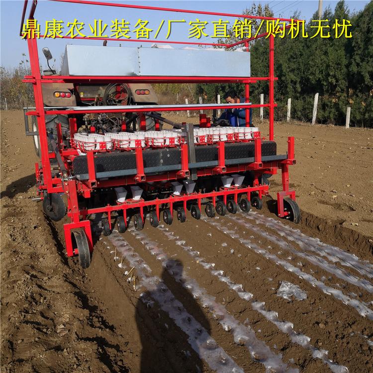 两行洋葱蔬菜移栽机简单易操作机械一体化厂家直销
