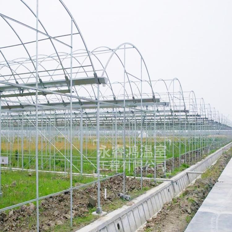 九江连栋温室大棚-花卉大棚-遮阳连栋大棚-外蔬菜大棚 支持定制