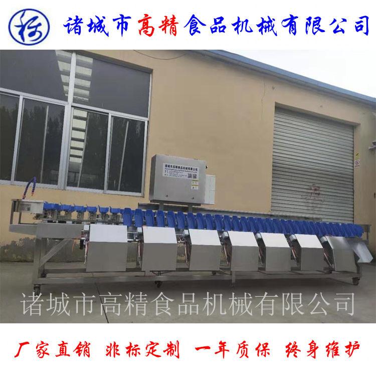 定量分选机 数量定量分选机 重量定量分级机 定量包装分选机