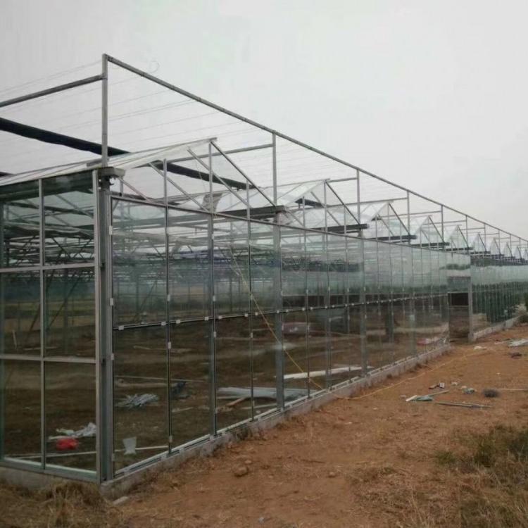 纹洛型温室工程 纹洛温室大棚 纹洛温室厂家