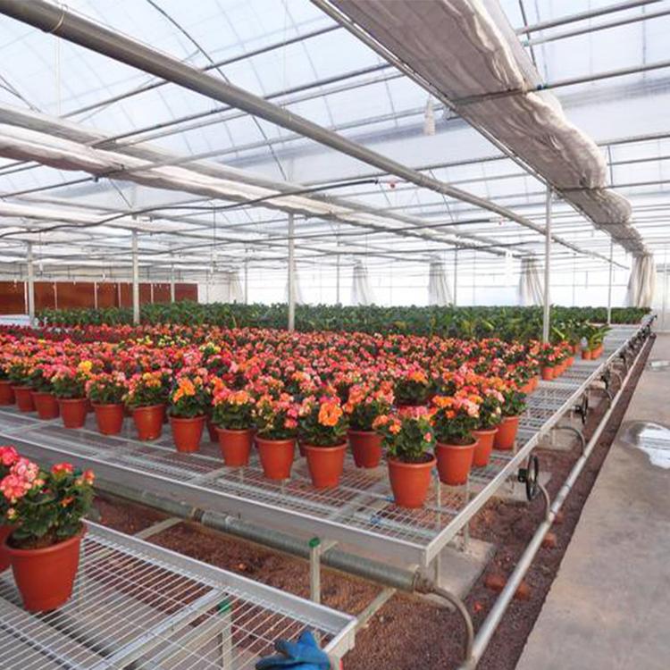 花卉大棚-外遮阳连栋大棚-蔬菜大棚 温室连栋大棚 农业大棚日光温室钢架大棚 薄膜温室支持定制厂家直销