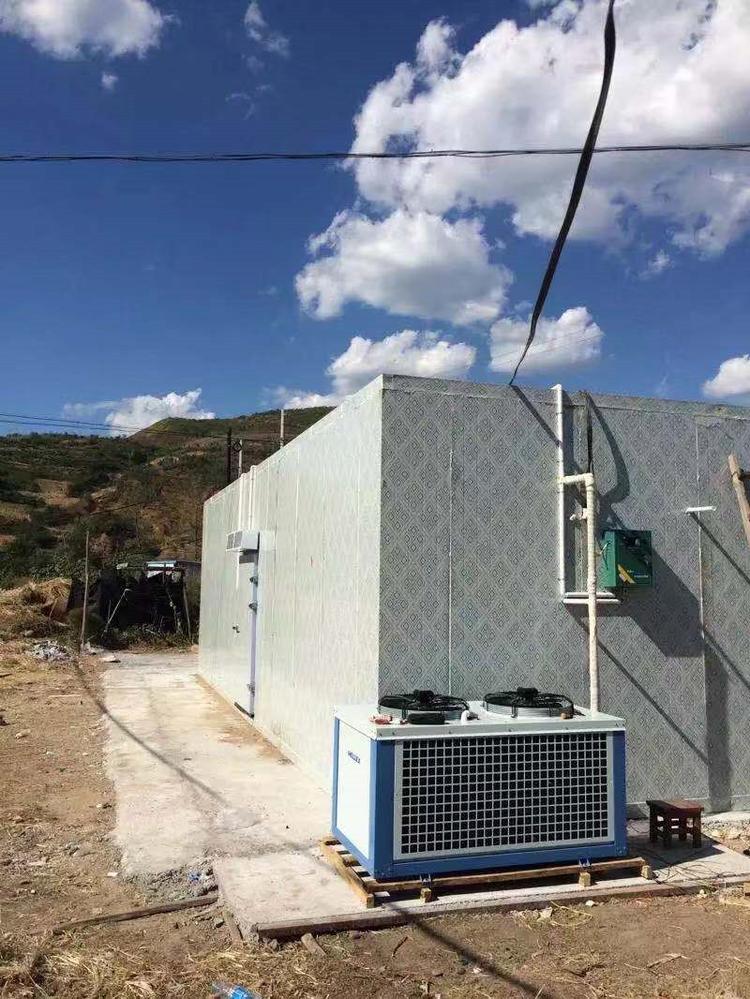 甘肃双温冷库定制 新冷源大型冷库建设 厂家配送送货上门